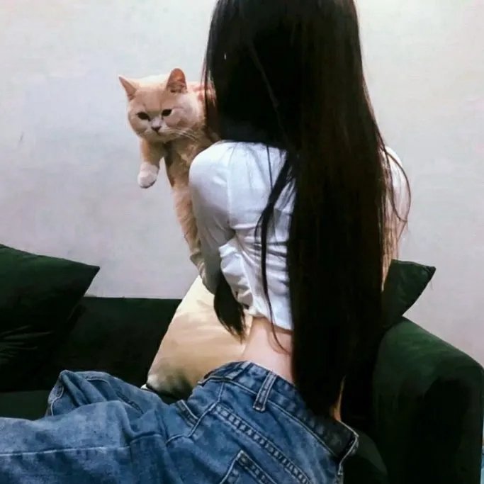 大猫竞技